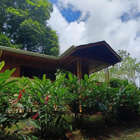 Gambas Lodge La Fortuna Exterior foto